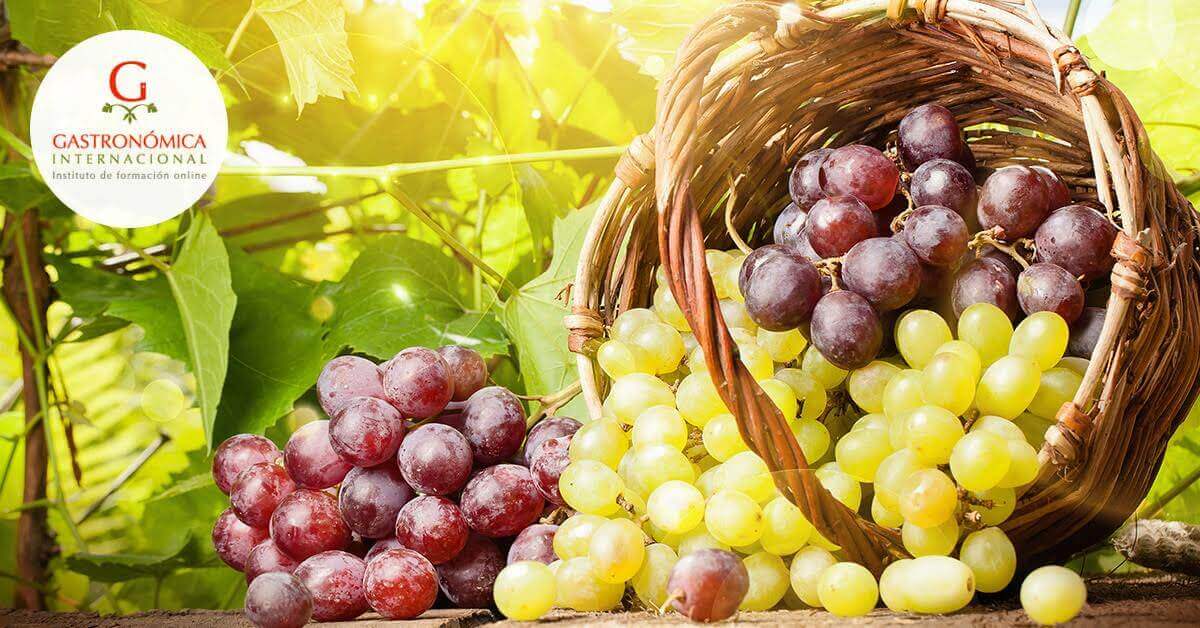 Gastronomía cuida tu salud con las uvas de mesa