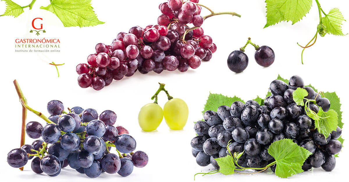 Gastronomía uvas variedades y usos