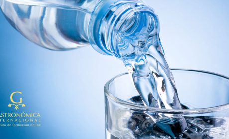 Cómo calcular tu ingesta diaria de agua