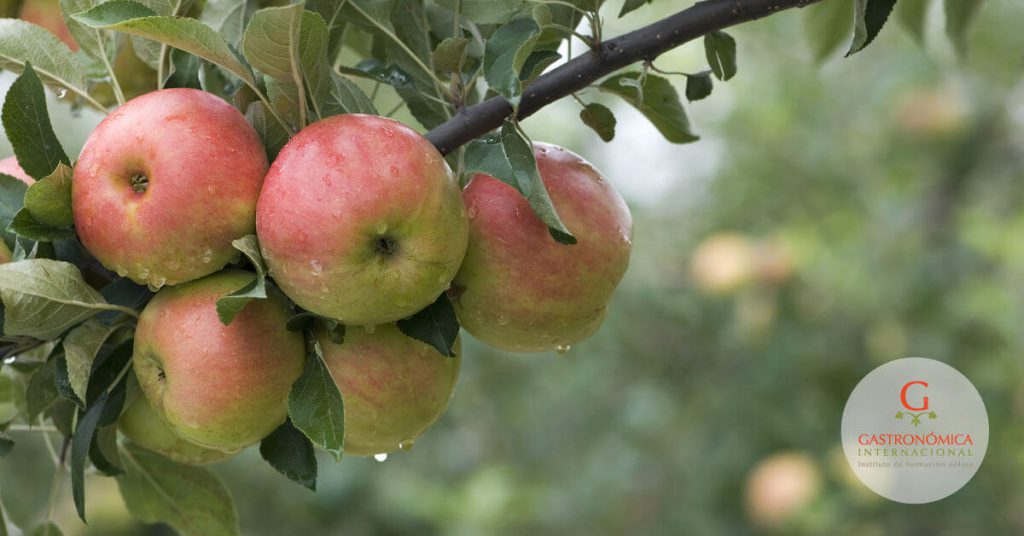 5 beneficios de comer manzanas