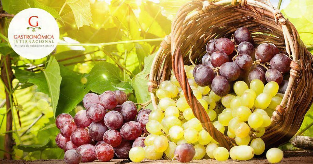 Cuida tu salud con las uvas de mesa