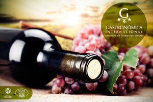 Te invitamos a conocer el camino del vino… con Gastronómica.