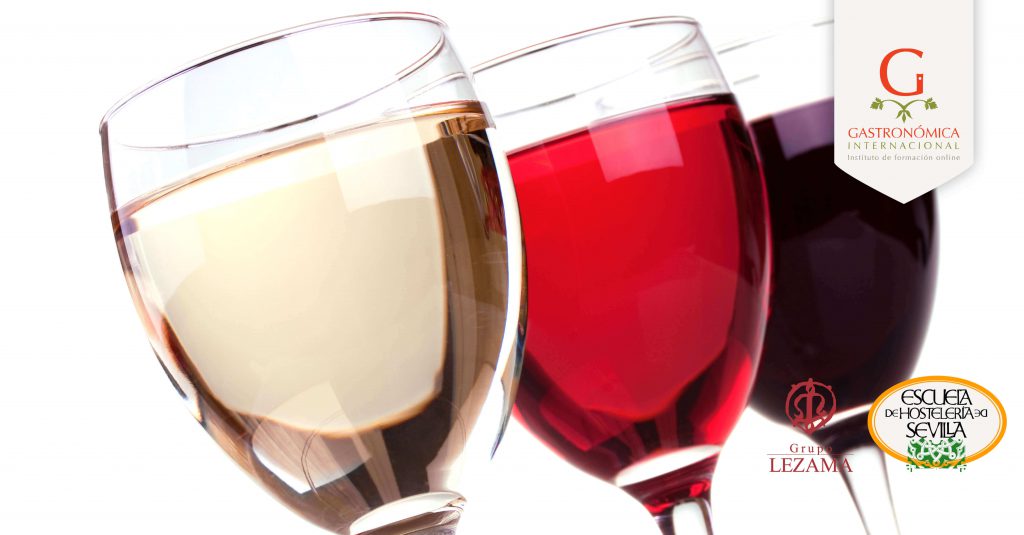 … Una probadita de nuestro curso de cata de vinos…