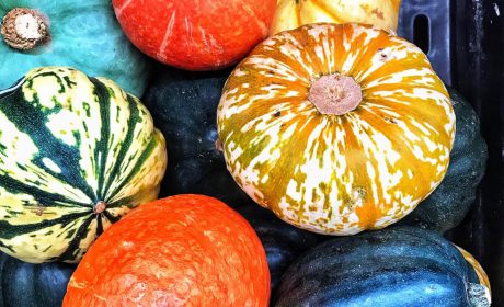 Temporada de calabazas: usos en la cocina otoñal